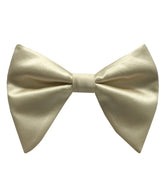 Ivory Satin Long Bow-Tie & Pocket Square