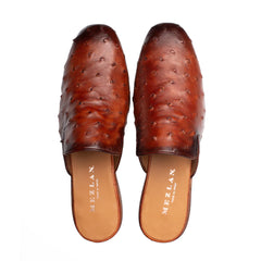Ostrich Mule -BR