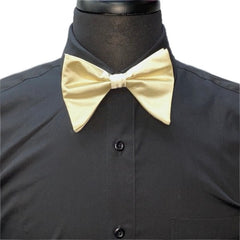 Ivory Satin Long Bow-Tie & Pocket Square